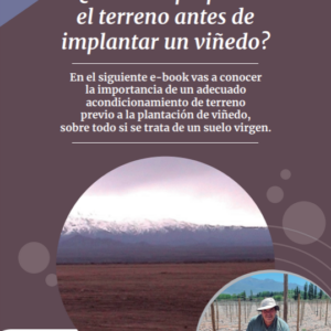 Acondicionamiento de terreno