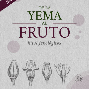 Fenología